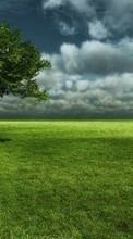New mobile wallpapers - free download. Trees, Clouds, Landscape, Fields, Grass picture and image for mobile phones.