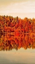 New mobile wallpapers - free download. Landscape, Water, Trees, Autumn, Lakes picture and image for mobile phones.