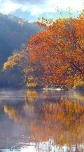 New 480x800 mobile wallpapers Landscape, Water, Trees, Autumn, Lakes free download.