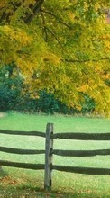 New 240x400 mobile wallpapers Landscape, Trees, Autumn free download.