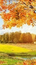 New mobile wallpapers - free download. Trees, Autumn, Landscape, Fields picture and image for mobile phones.