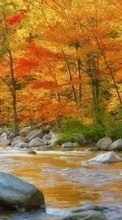 New mobile wallpapers - free download. Trees, Autumn, Landscape, Rivers picture and image for mobile phones.