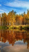 New mobile wallpapers - free download. Trees, Autumn, Landscape, Rivers picture and image for mobile phones.