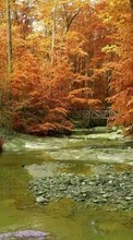 New mobile wallpapers - free download. Landscape, Rivers, Trees, Autumn picture and image for mobile phones.