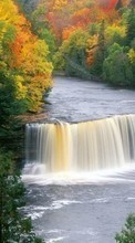 New mobile wallpapers - free download. Trees, Autumn, Landscape, Rivers, Waterfalls picture and image for mobile phones.