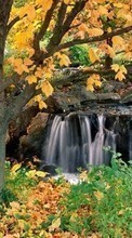 New mobile wallpapers - free download. Trees,Autumn,Landscape,Waterfalls picture and image for mobile phones.