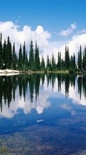 New mobile wallpapers - free download. Trees,Lakes,Landscape picture and image for mobile phones.