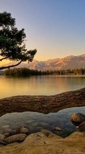 New mobile wallpapers - free download. Landscape, Water, Trees, Lakes picture and image for mobile phones.