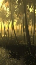 New mobile wallpapers - free download. Landscape, Trees, Sun, Palms picture and image for mobile phones.