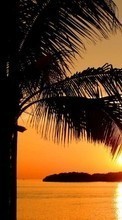 Landscape, Trees, Sunset, Sun, Palms for Lenovo A2010