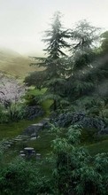 Trees, Landscape for HTC Desire S
