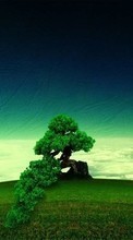 New 240x320 mobile wallpapers Landscape, Trees free download.
