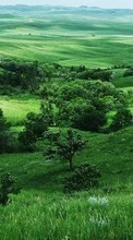 New mobile wallpapers - free download. Trees,Landscape,Fields picture and image for mobile phones.