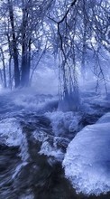 New mobile wallpapers - free download. Landscape, Winter, Nature, Rivers, Trees picture and image for mobile phones.