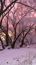 New mobile wallpapers - free download. Landscape, Winter, Trees, Snow, Dawn picture and image for mobile phones.