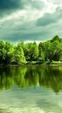 New mobile wallpapers - free download. Trees,Landscape,Rivers picture and image for mobile phones.