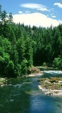 New mobile wallpapers - free download. Landscape, Rivers, Trees picture and image for mobile phones.