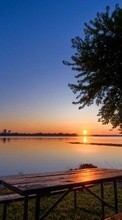 New mobile wallpapers - free download. Landscape, Water, Rivers, Trees, Sunset, Sun picture and image for mobile phones.