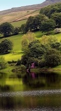 New 540x960 mobile wallpapers Landscape, Water, Rivers, Trees free download.