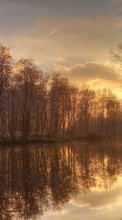 Trees, Landscape, Rivers, Sunset for Xiaomi Mi 11