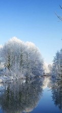 New mobile wallpapers - free download. Trees, Landscape, Rivers, Winter picture and image for mobile phones.