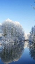 New mobile wallpapers - free download. Trees, Landscape, Rivers, Winter picture and image for mobile phones.
