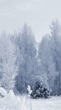 New mobile wallpapers - free download. Trees, Landscape, Snow picture and image for mobile phones.