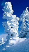 New mobile wallpapers - free download. Trees,Landscape,Snow picture and image for mobile phones.