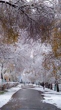 New mobile wallpapers - free download. Trees, Landscape, Snow, Streets picture and image for mobile phones.