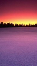 New mobile wallpapers - free download. Trees, Landscape, Snow, Sunset, Winter picture and image for mobile phones.
