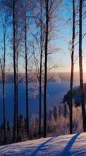 New 720x1280 mobile wallpapers Landscape, Winter, Trees, Sunset, Snow free download.