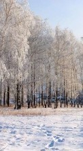 New mobile wallpapers - free download. Landscape, Winter, Trees, Snow picture and image for mobile phones.