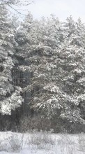 Trees, Landscape, Snow, Winter for Lenovo A2010