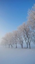 New mobile wallpapers - free download. Trees, Landscape, Snow, Winter picture and image for mobile phones.