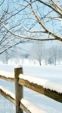 New mobile wallpapers - free download. Trees, Landscape, Snow, Winter picture and image for mobile phones.