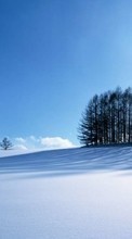 New mobile wallpapers - free download. Trees,Landscape,Snow,Winter picture and image for mobile phones.