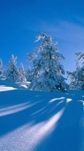 New 240x400 mobile wallpapers Landscape, Winter, Trees, Snow free download.