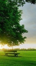 New mobile wallpapers - free download. Trees, Landscape, Sun, Grass picture and image for mobile phones.