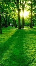 New mobile wallpapers - free download. Trees, Landscape, Grass picture and image for mobile phones.