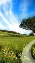 New mobile wallpapers - free download. Landscape, Trees, Grass picture and image for mobile phones.