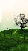 New mobile wallpapers - free download. Landscape, Trees, Grass picture and image for mobile phones.