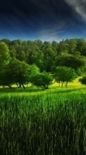 New 128x160 mobile wallpapers Landscape, Trees, Grass free download.