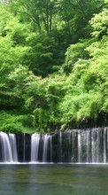New mobile wallpapers - free download. Trees, Nature, Water, Waterfalls picture and image for mobile phones.