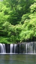 New mobile wallpapers - free download. Landscape, Water, Trees, Waterfalls picture and image for mobile phones.