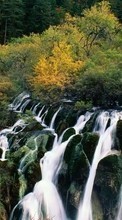 Landscape, Trees, Waterfalls for Nokia Asha 200