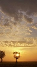 New mobile wallpapers - free download. Trees,Landscape,Sunset picture and image for mobile phones.