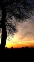 New mobile wallpapers - free download. Landscape, Trees, Sunset picture and image for mobile phones.
