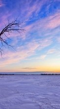New mobile wallpapers - free download. Trees,Landscape,Sunset,Winter picture and image for mobile phones.
