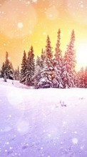 New mobile wallpapers - free download. Trees,Landscape,Winter picture and image for mobile phones.