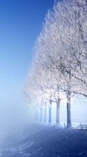 New mobile wallpapers - free download. Landscape, Winter, Trees picture and image for mobile phones.